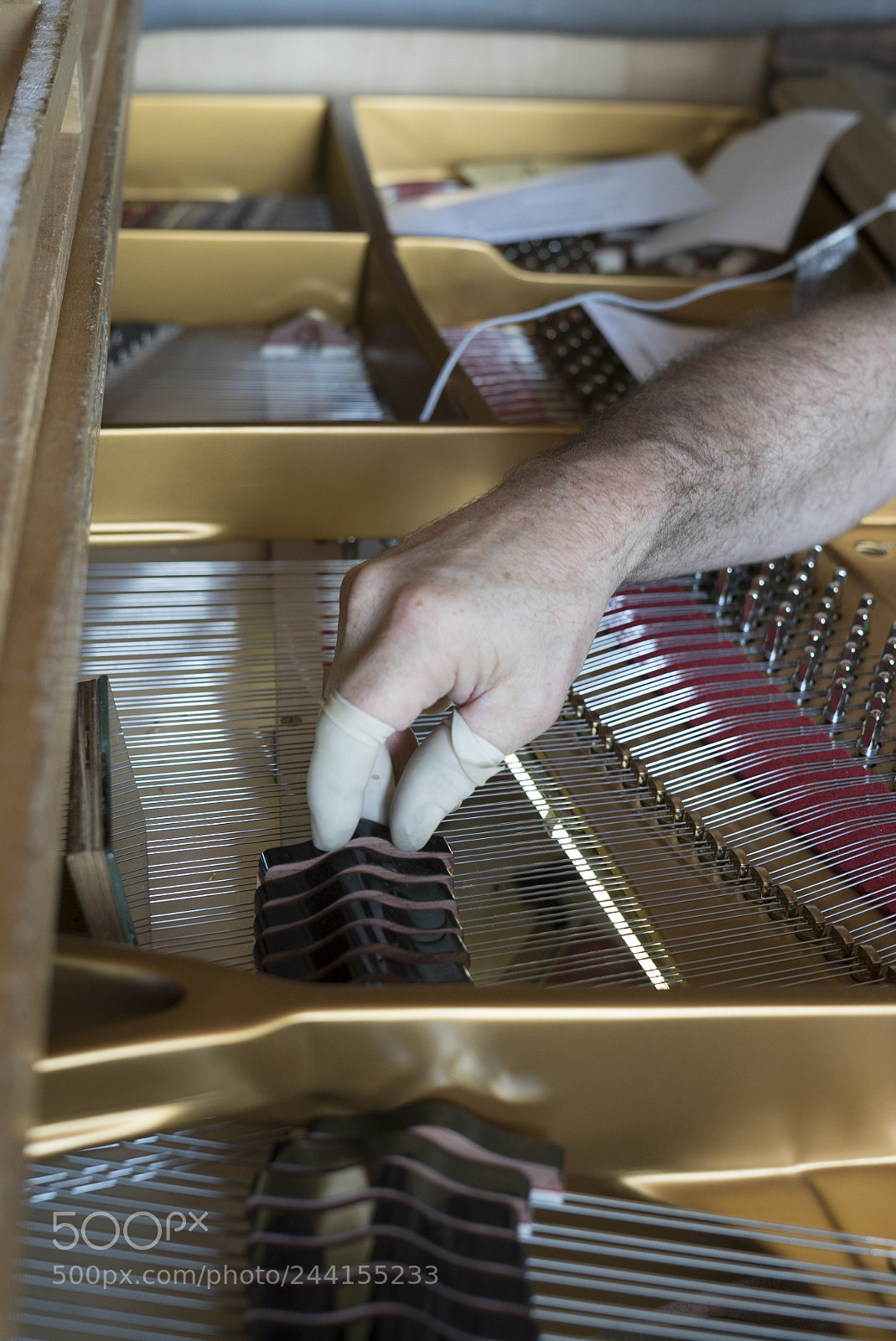 Sony a7S II sample photo. Piano manufacturer steingraeber photography