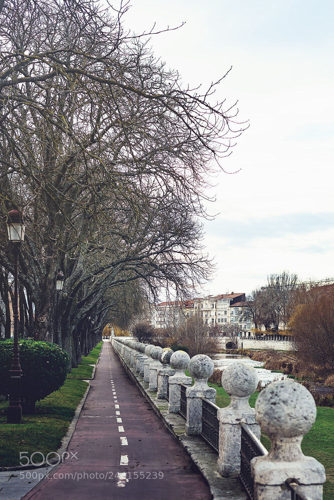 Nikon D610 sample photo. Pathway to burgos photography