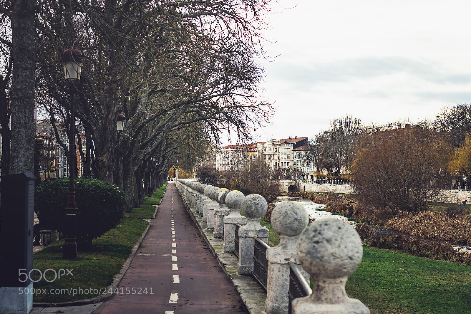 Nikon D610 sample photo. Pathway to burgos photography