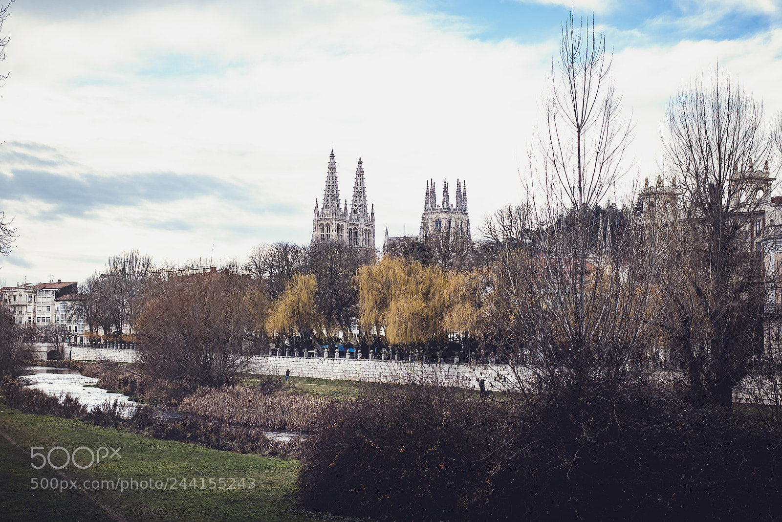 Nikon D610 sample photo. Pathway to burgos photography
