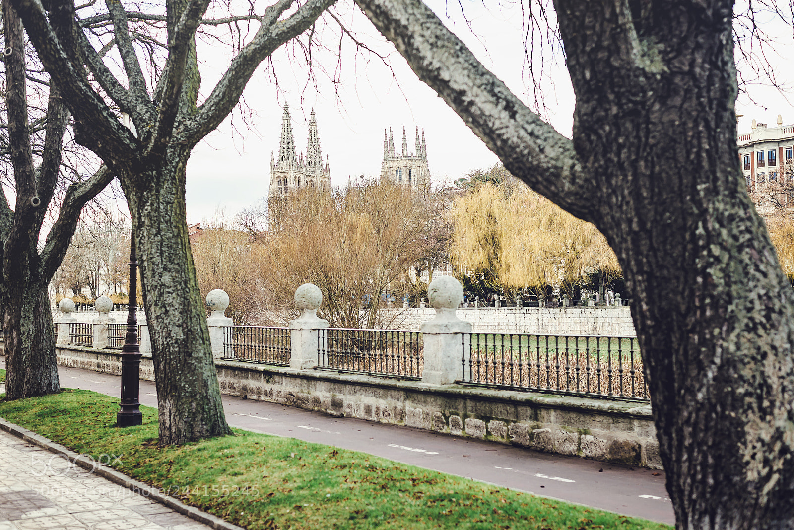Nikon D610 sample photo. Pathway to burgos photography