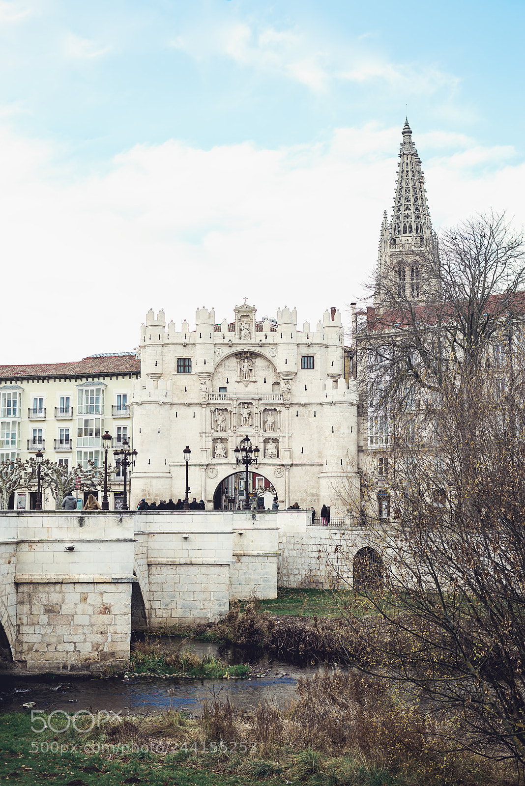 Nikon D610 sample photo. Pathway to burgos photography
