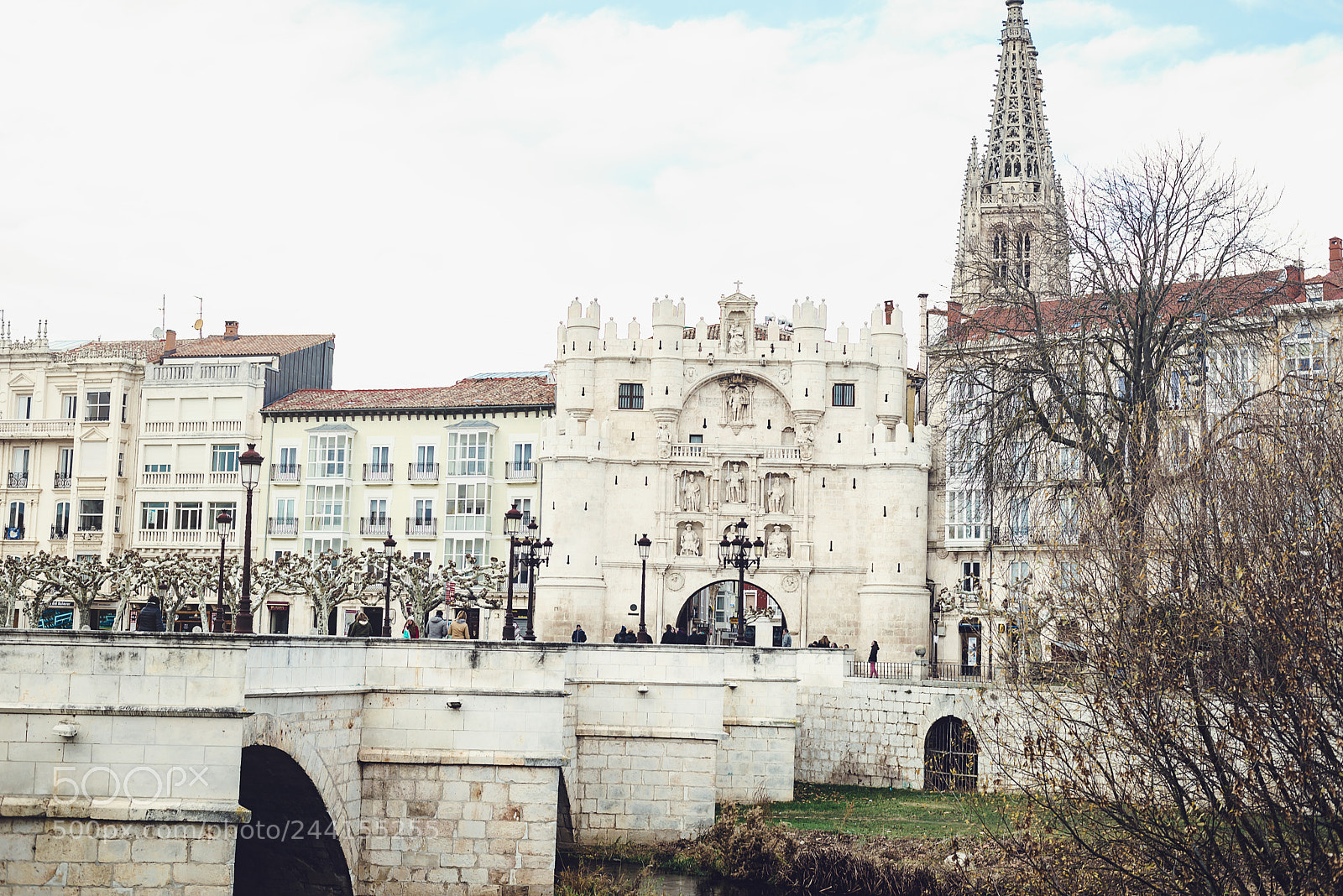 Nikon D610 sample photo. Pathway to burgos photography