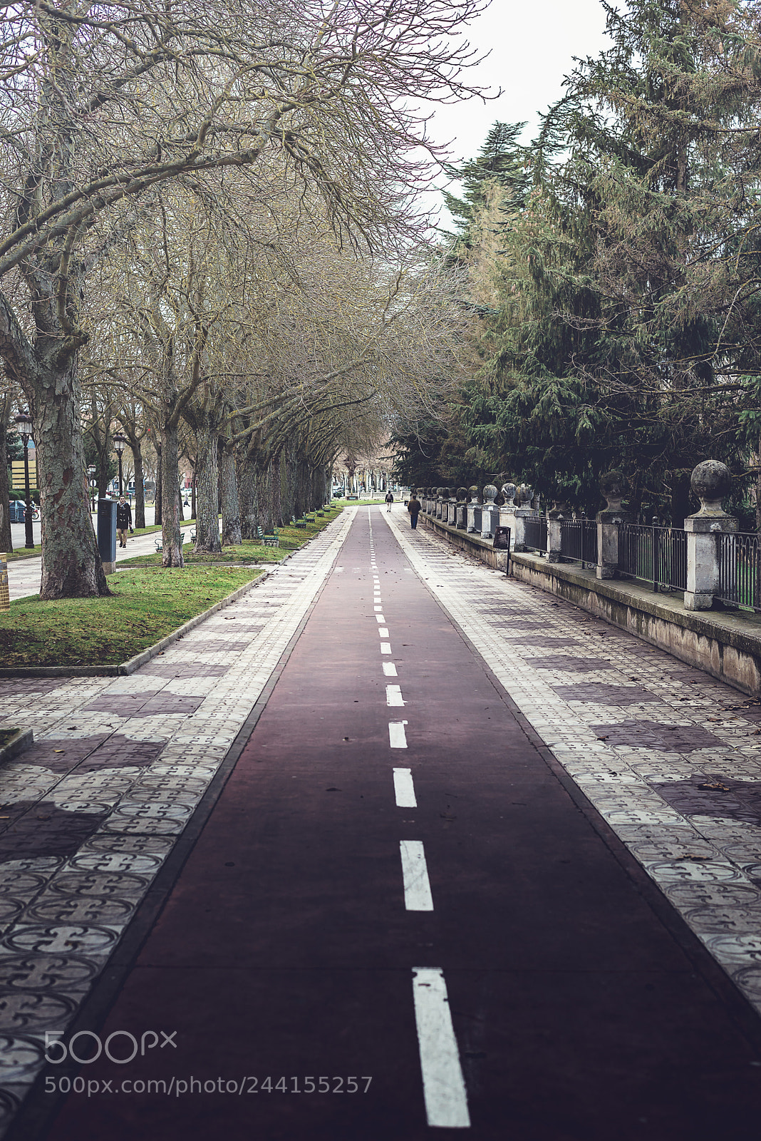 Nikon D610 sample photo. Pathway to burgos photography