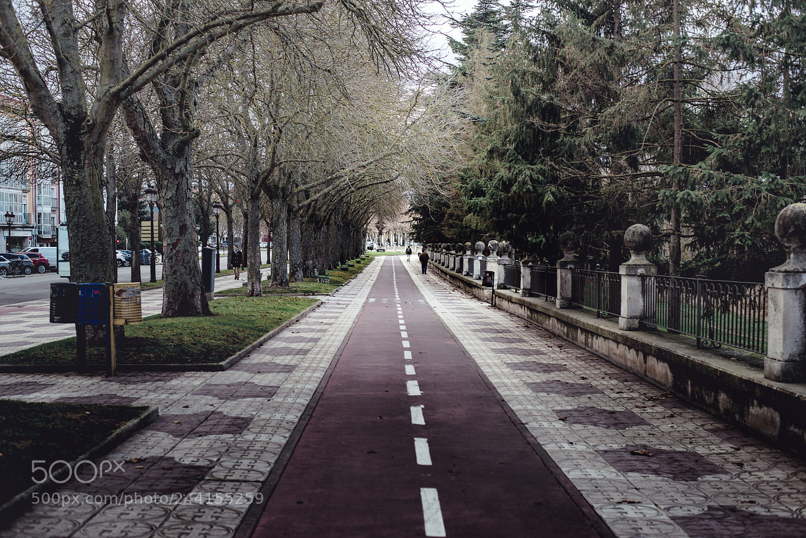 Nikon D610 sample photo. Pathway to burgos photography