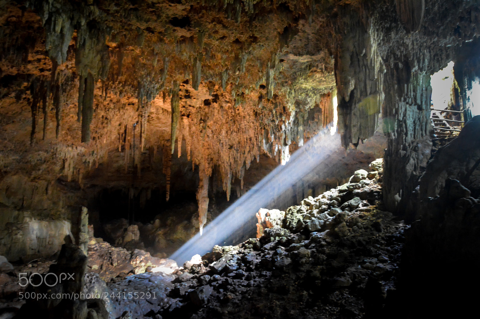 Nikon D7100 sample photo. Cenote yucatan photography