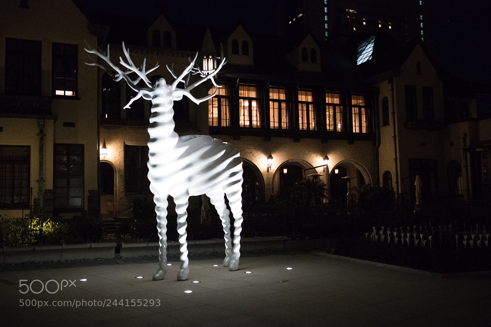Fujifilm X-T20 sample photo. Animal elegance photography