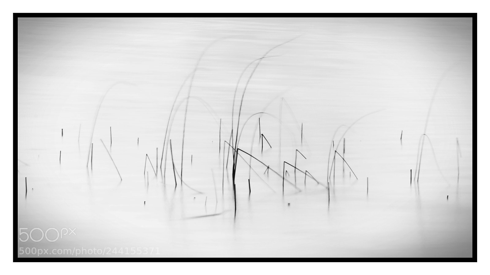 Canon EOS 60D sample photo. A dream... photography