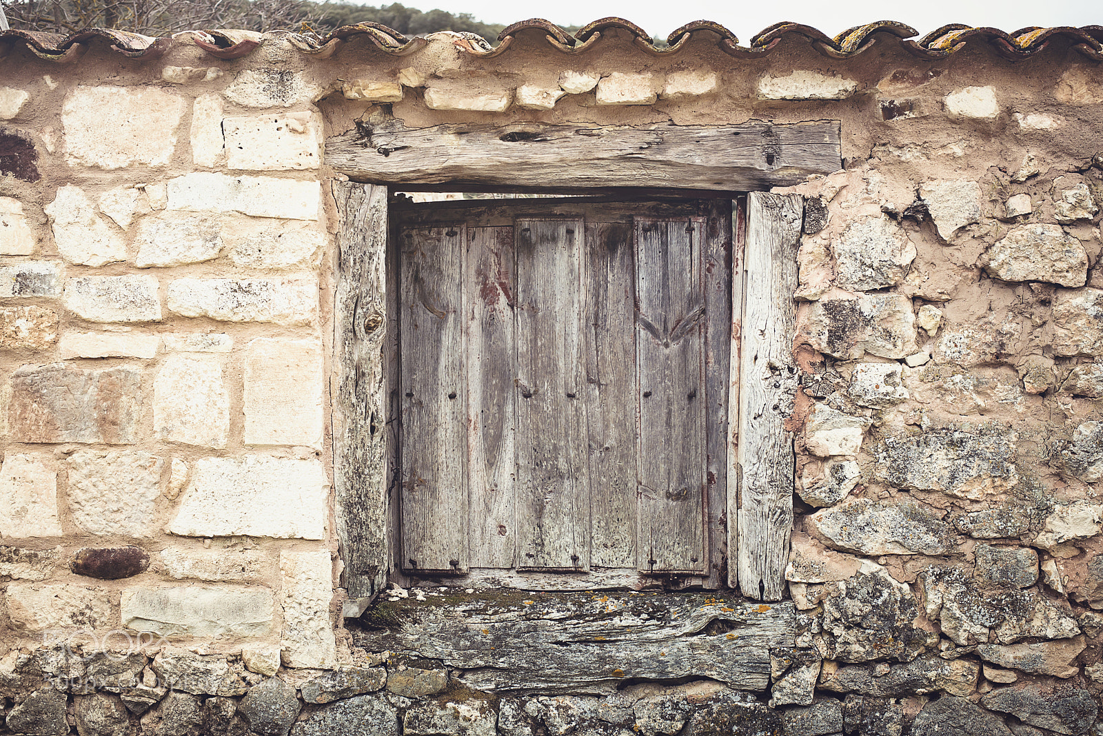 Nikon D610 sample photo. San pedro de arlanza photography