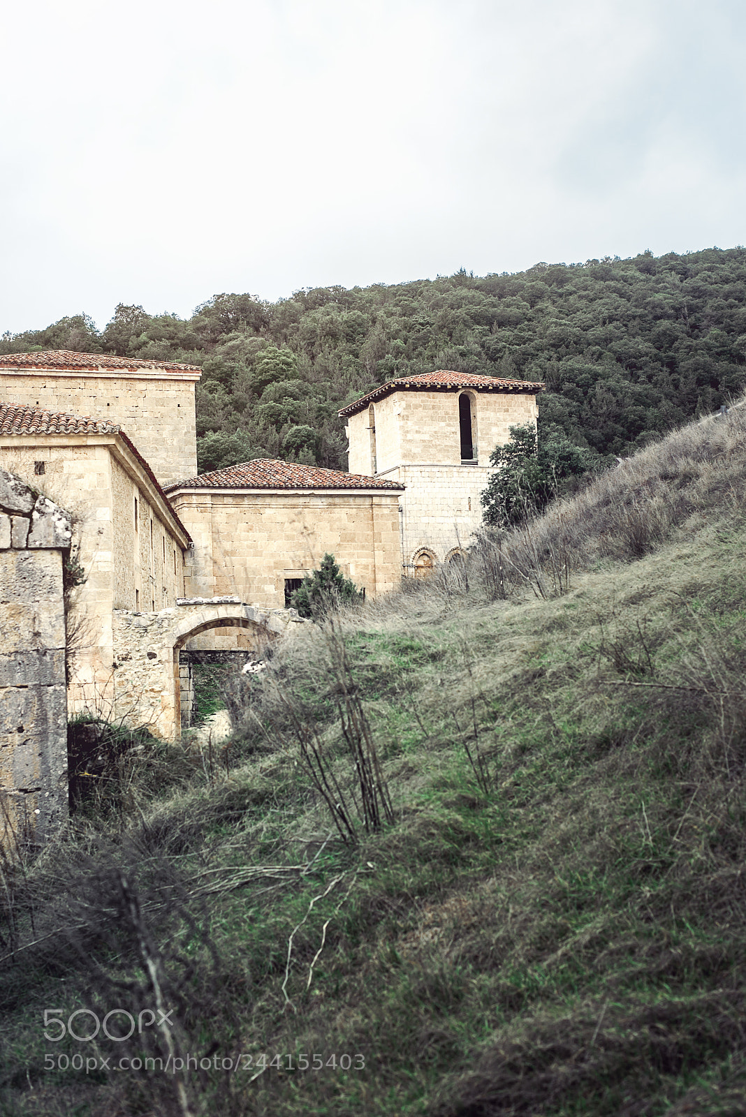 Nikon D610 sample photo. San pedro de arlanza photography