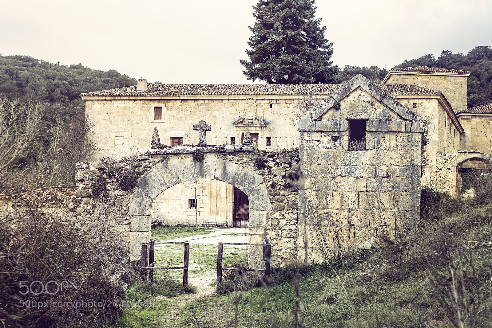 Nikon D610 sample photo. San pedro de arlanza photography