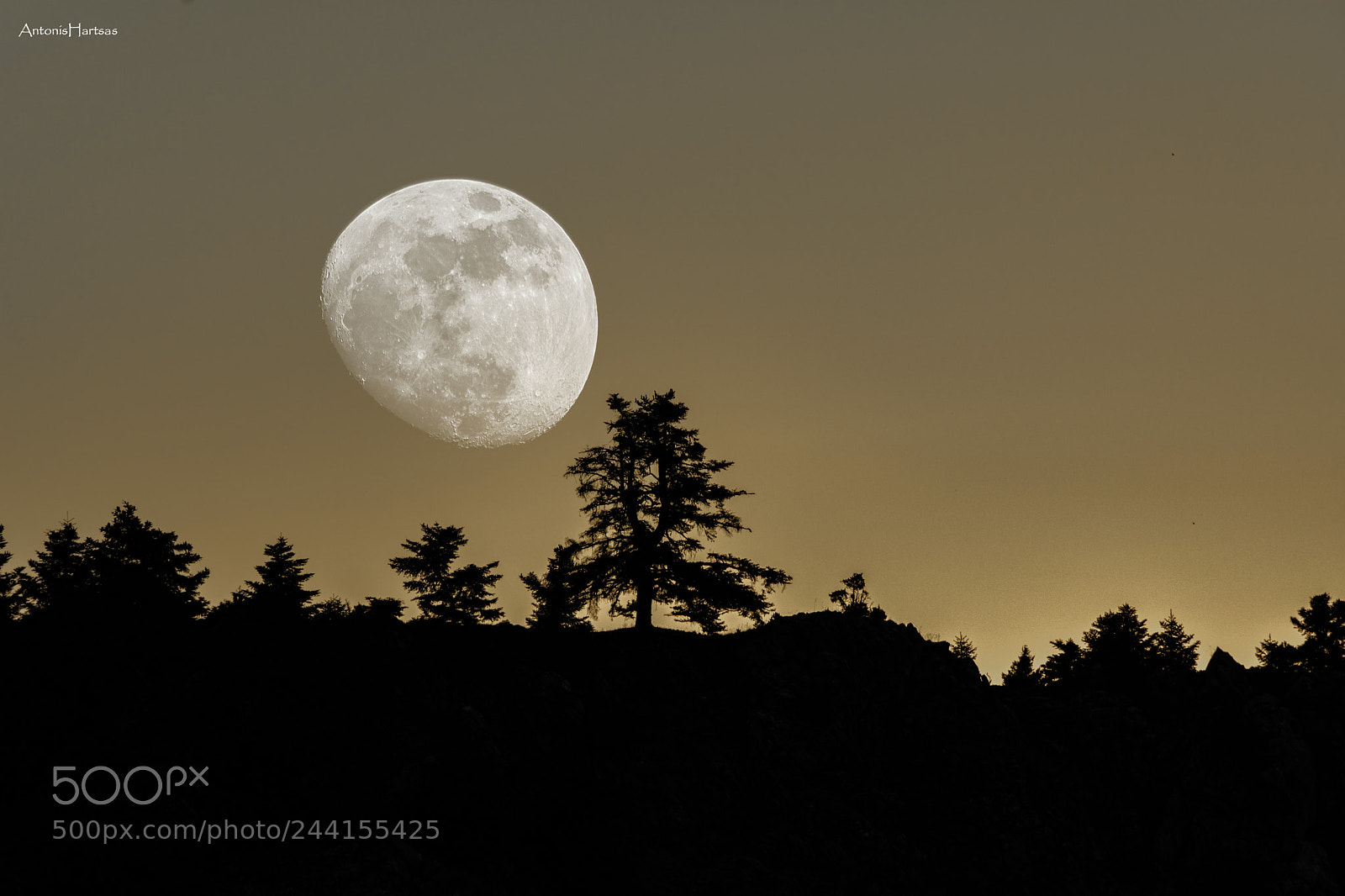 Nikon D3400 sample photo. Moon photography