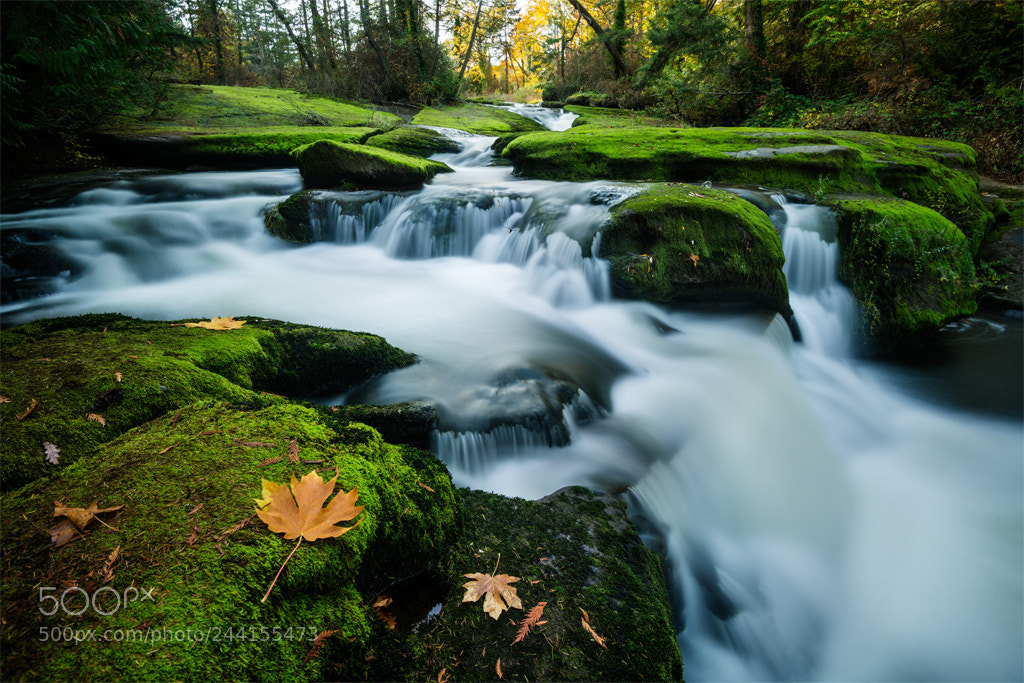 Nikon D800 sample photo. Millstone rapids photography