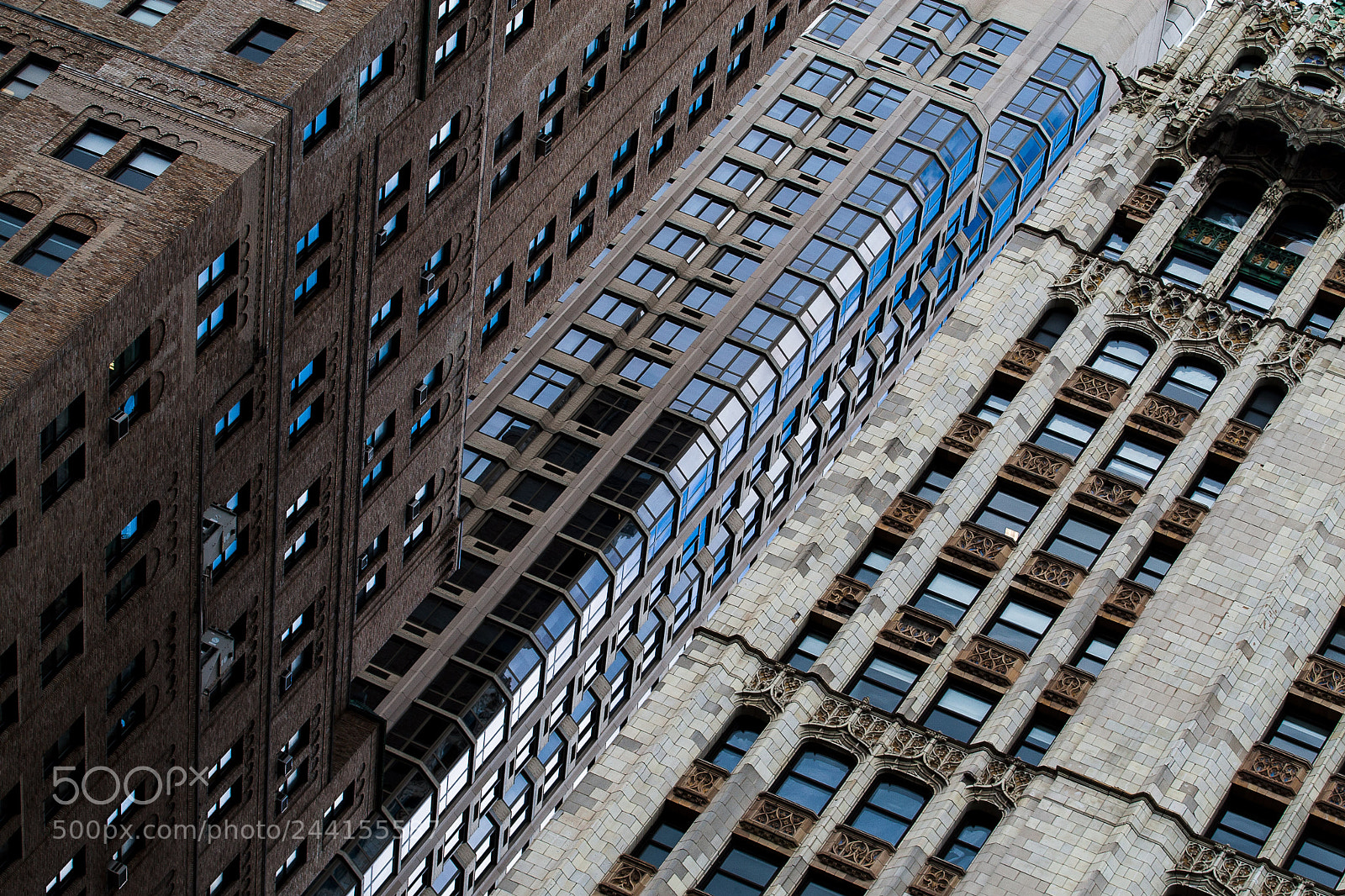 Canon EOS 30D sample photo. Urban jungle photography