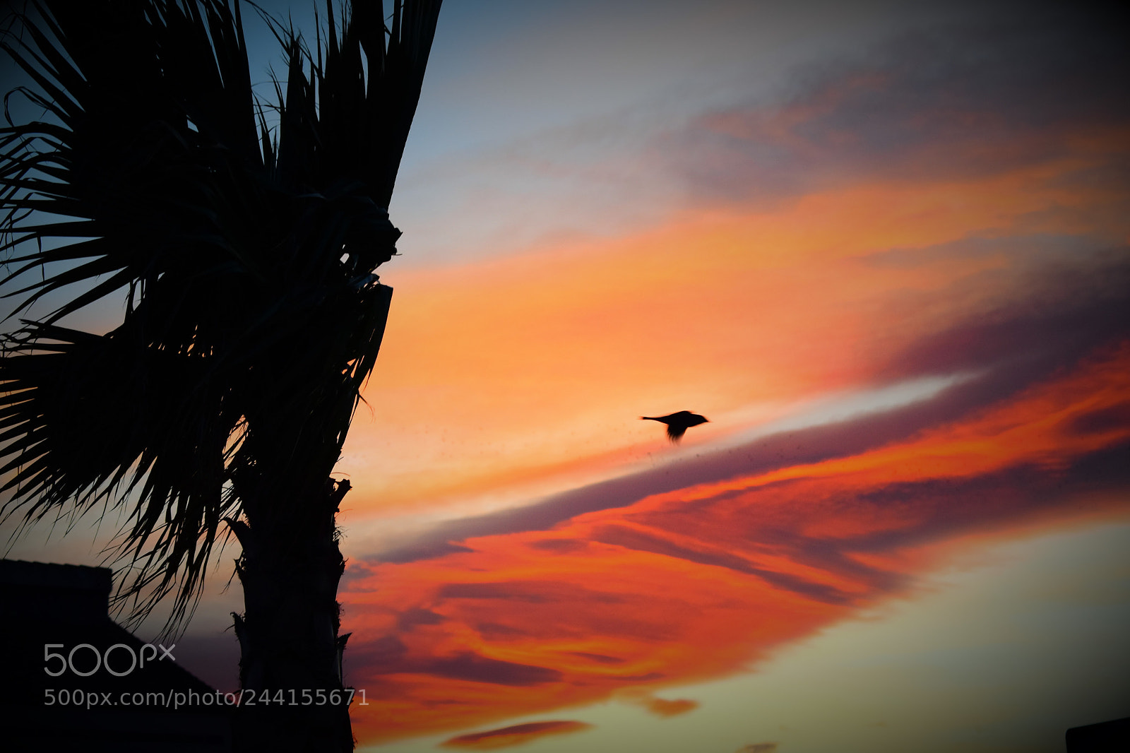 Nikon D3400 sample photo. Atardecer photography