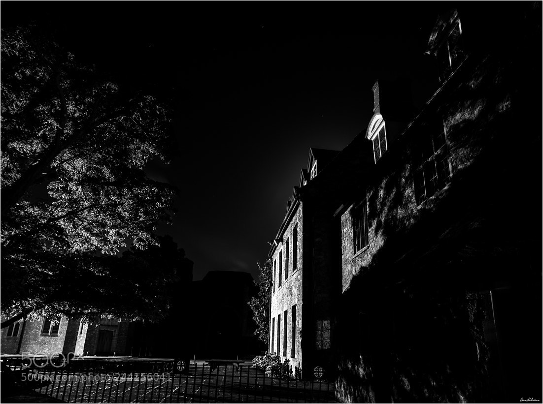 Canon EOS 60D sample photo. The night house photography
