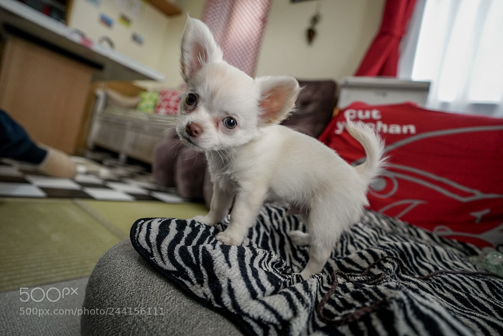 Sony a7R III sample photo. Baby photography