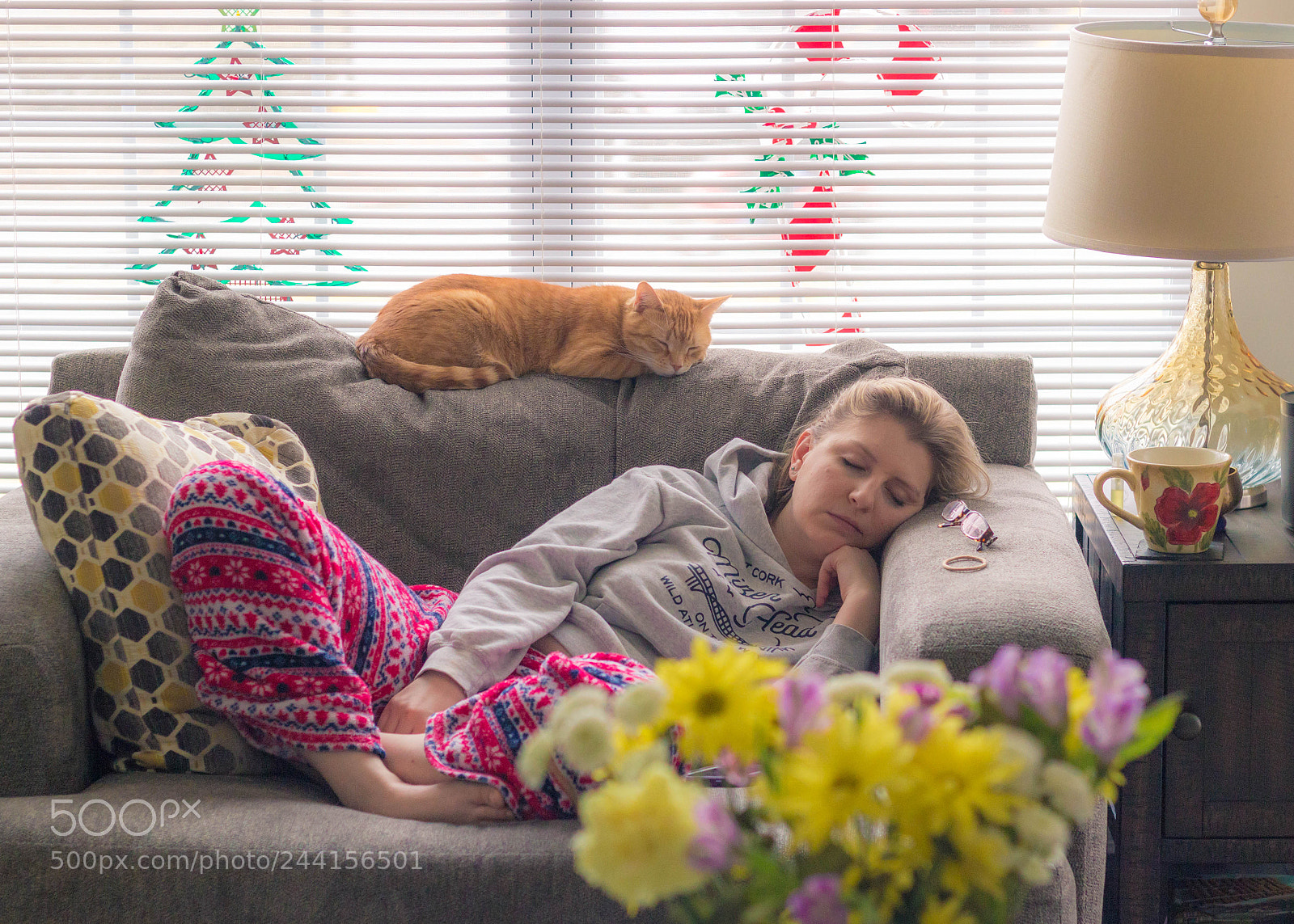 Canon EOS 100D (EOS Rebel SL1 / EOS Kiss X7) sample photo. Sleeping buddies photography