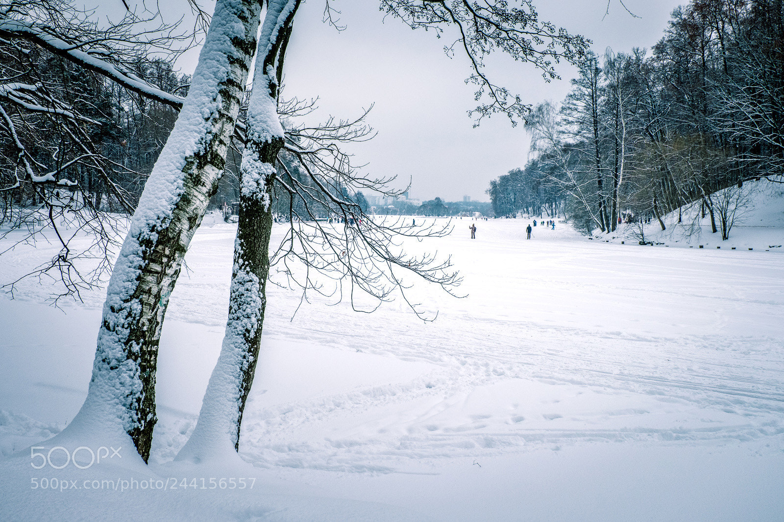 Fujifilm X-T20 sample photo. Царицыно photography