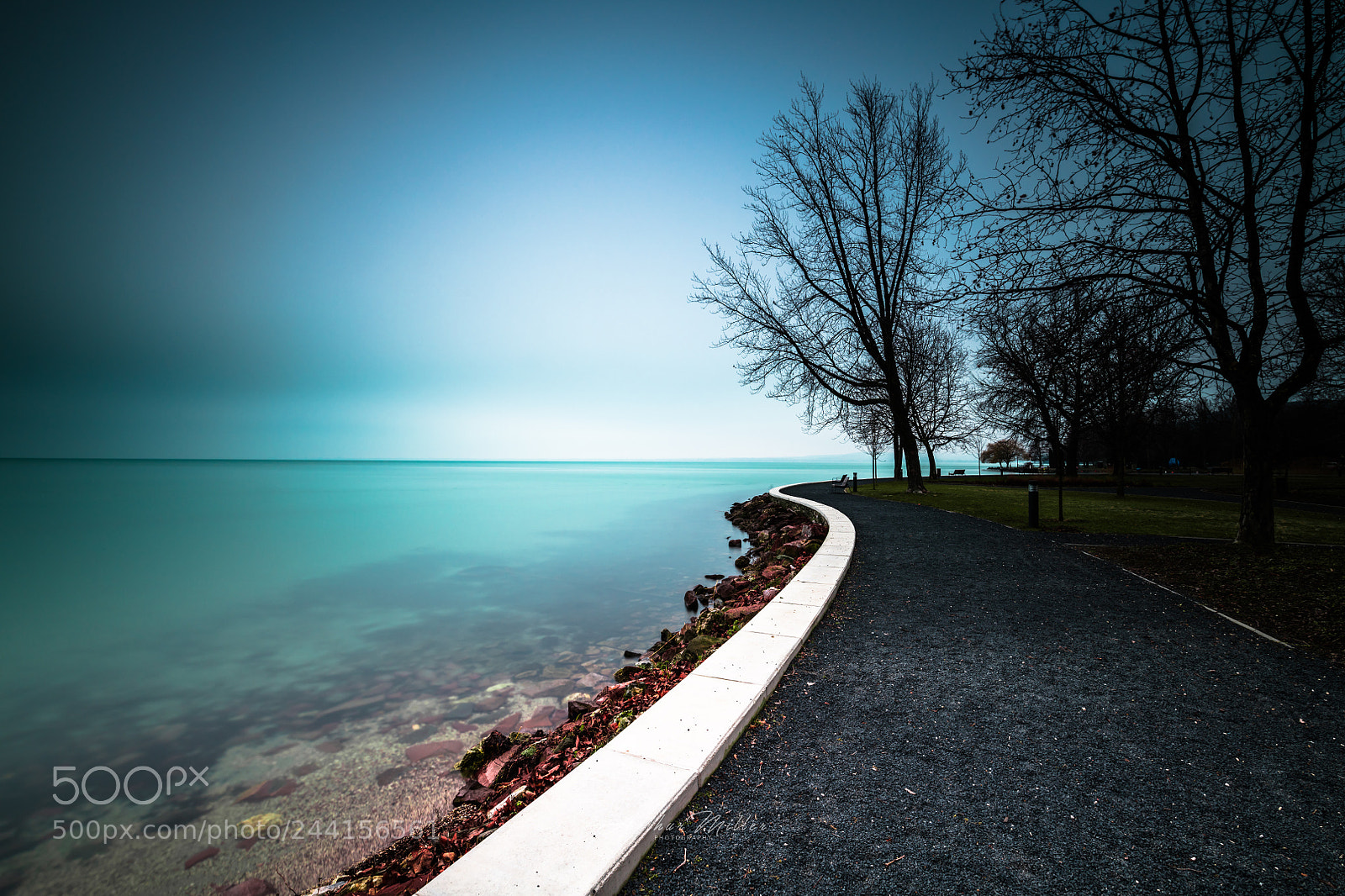 Nikon D850 sample photo. Silence photography