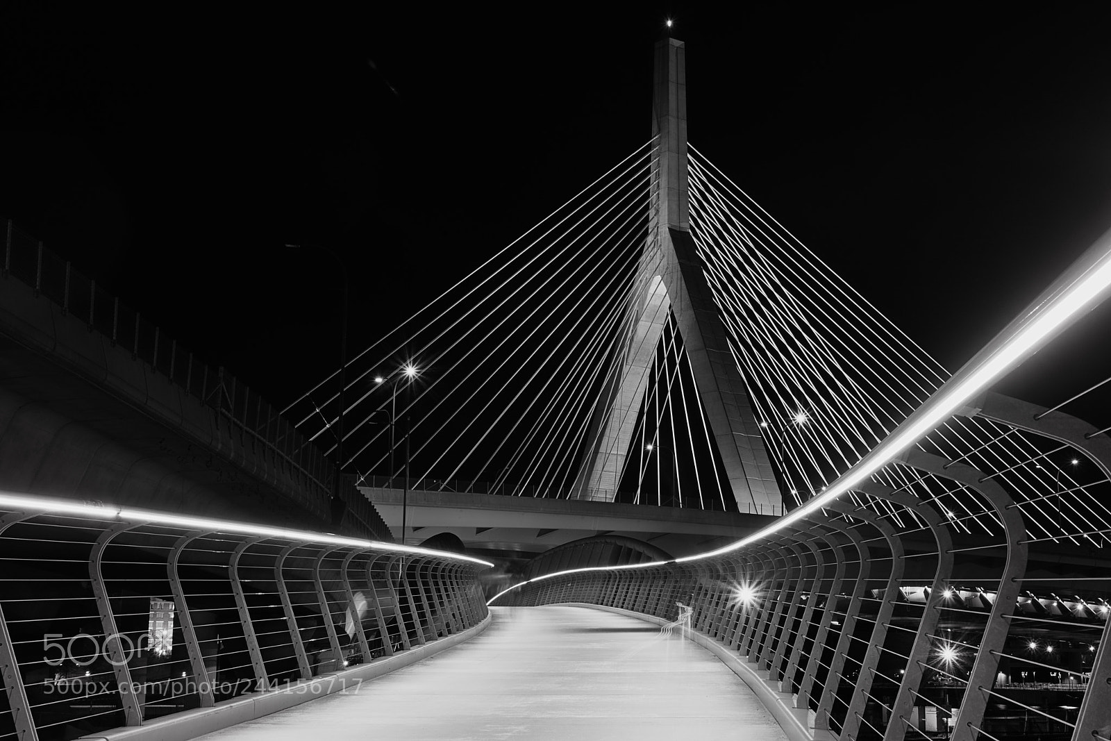 Nikon D7100 sample photo. Zakim in b&w photography