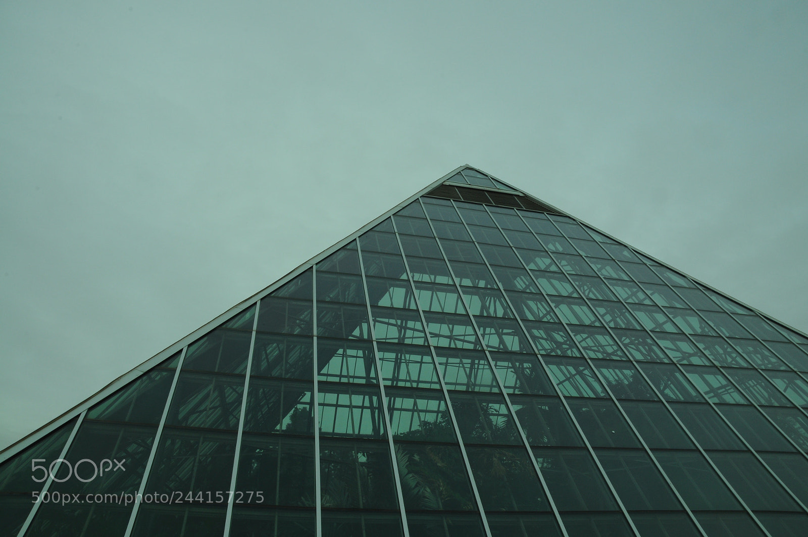 Nikon D5000 sample photo. Glass piramid photography