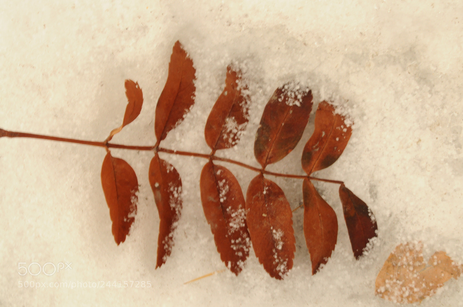 Nikon D5000 sample photo. A new season photography