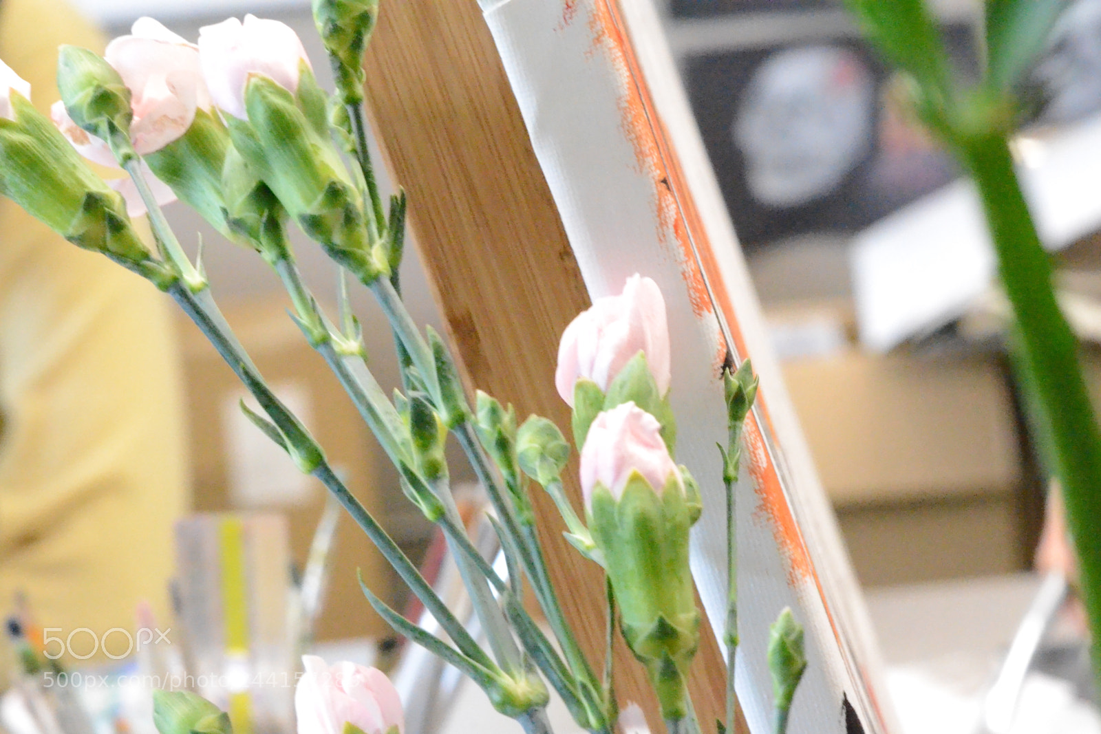 Nikon D3100 sample photo. Painting flowers photography