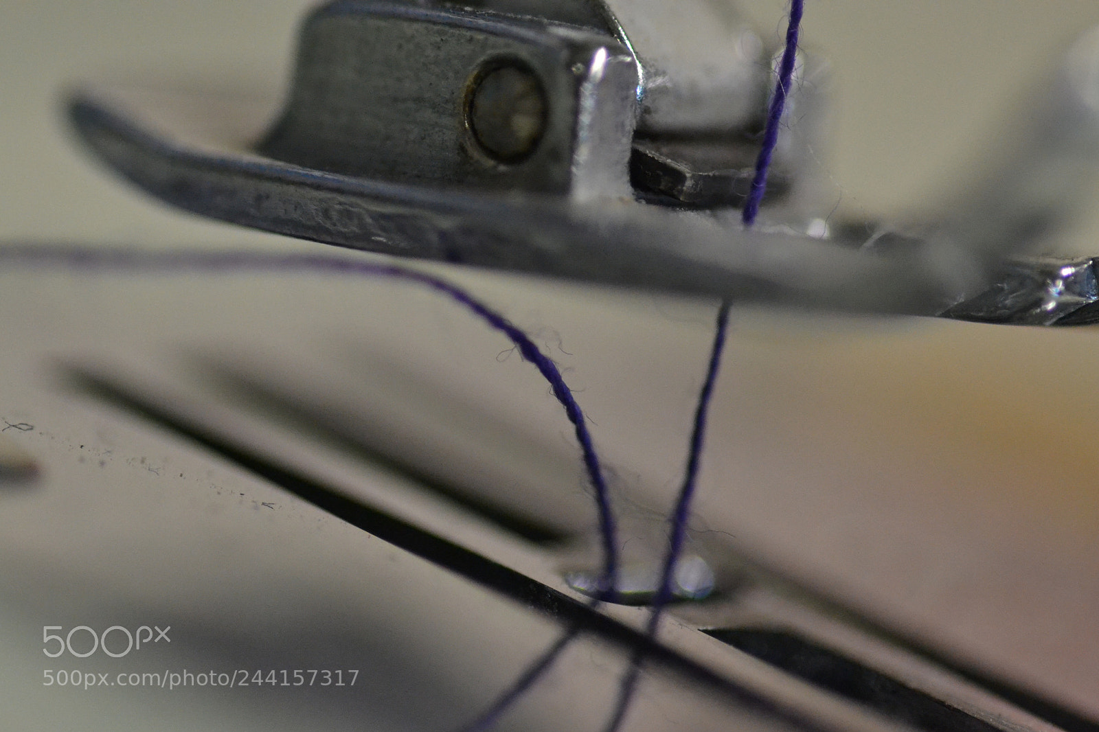 Nikon D3100 sample photo. Sew my heart back photography