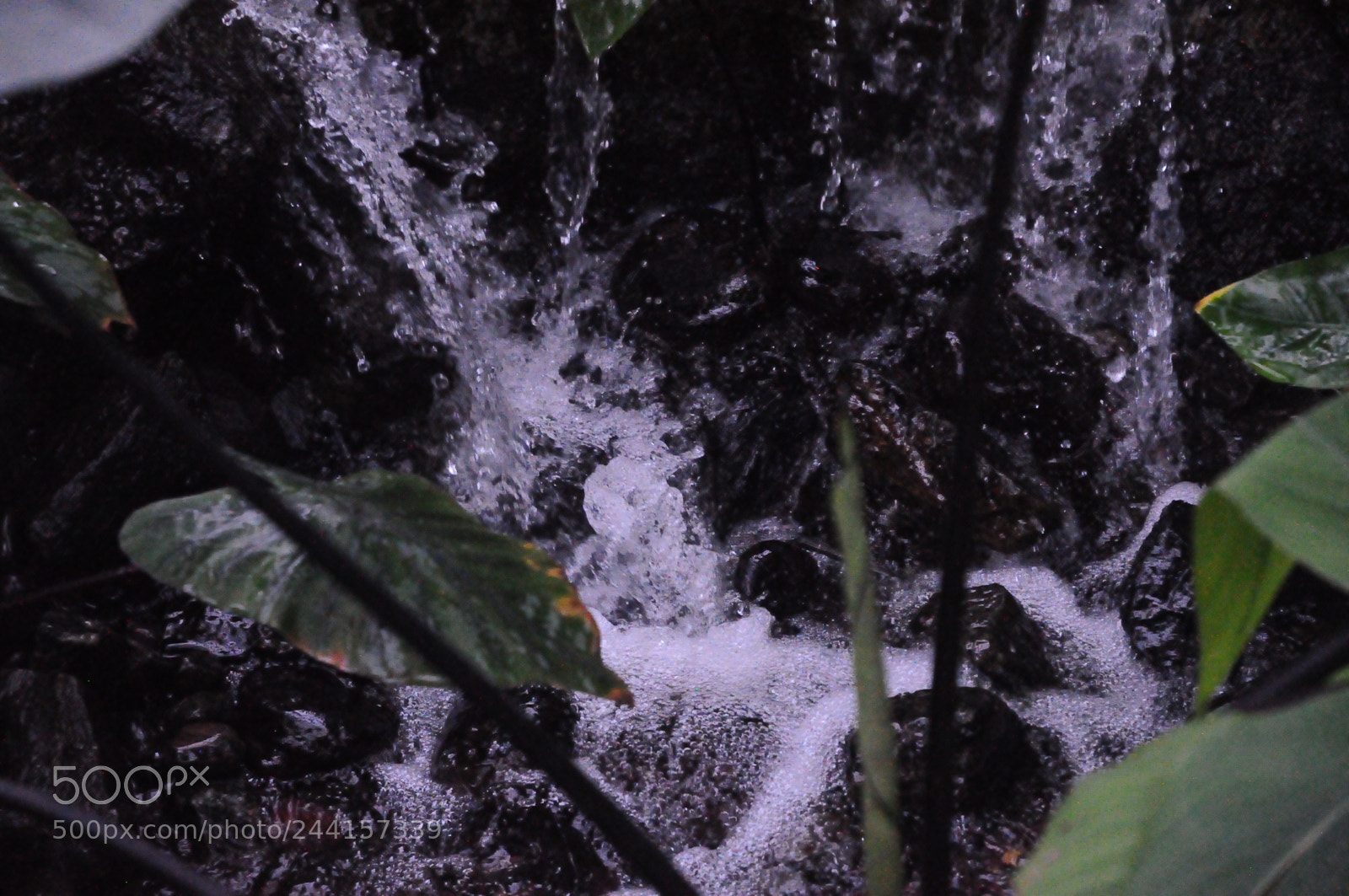 Nikon D5000 sample photo. Water rushing photography