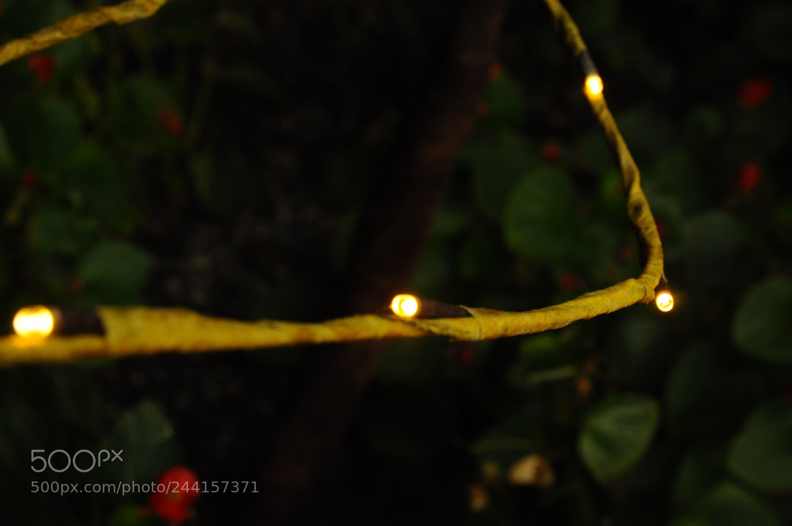 Nikon D5000 sample photo. Little lights photography