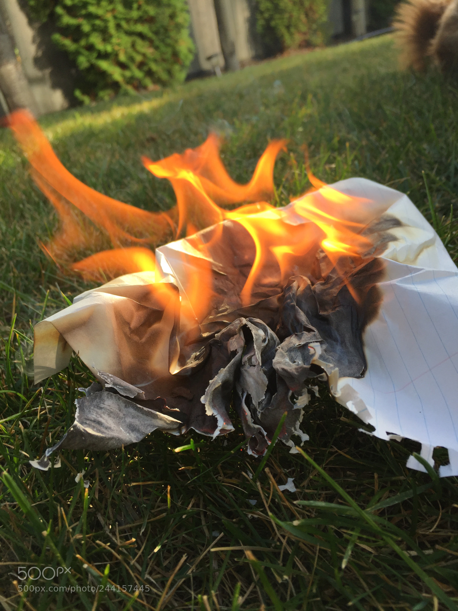 Apple iPhone 6 sample photo. Burning photography