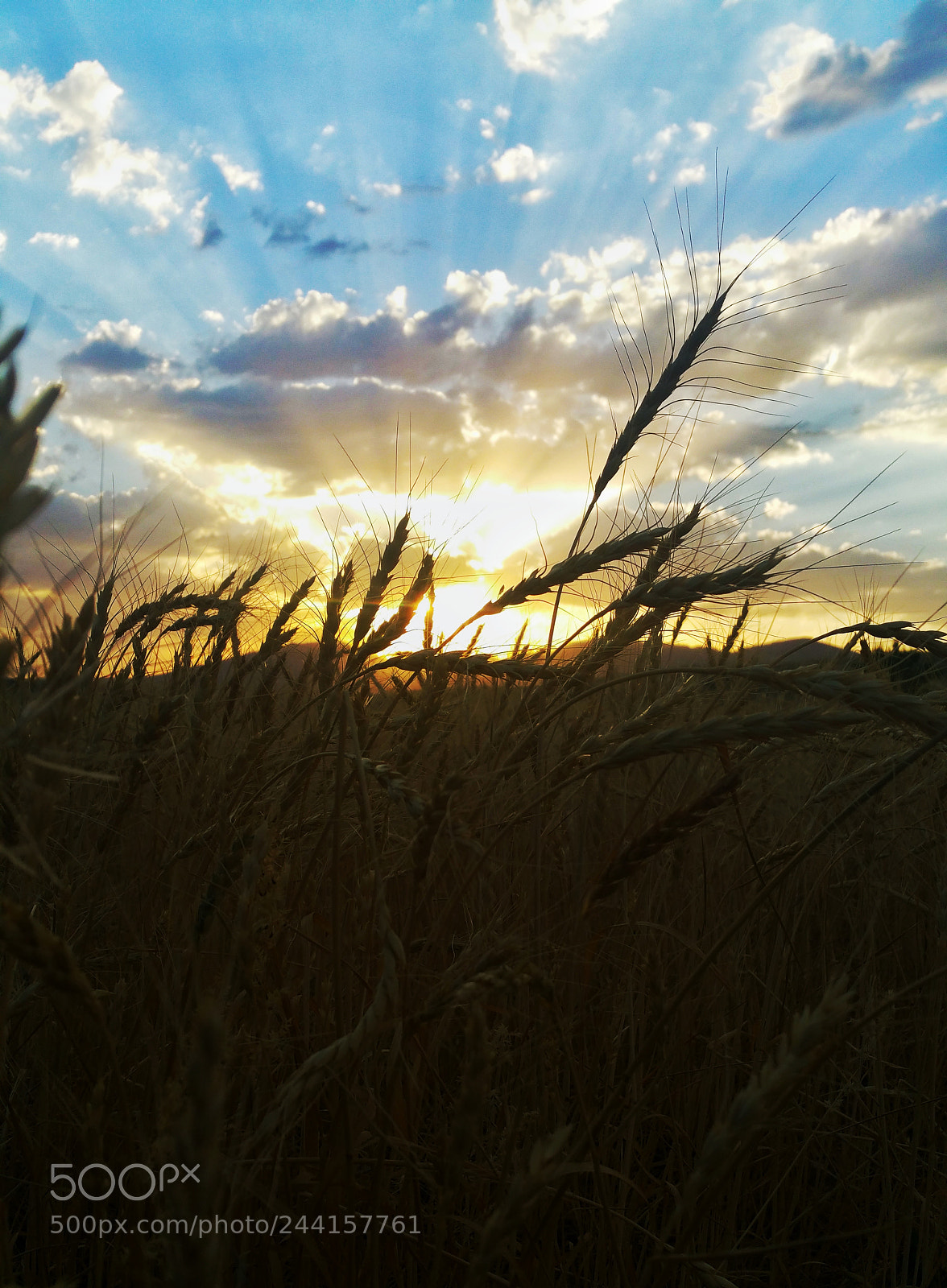 Samsung Galaxy Note4 sample photo. Sunset photography
