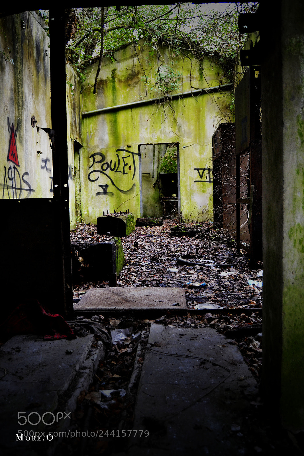 Nikon D3100 sample photo. Old asylum photography