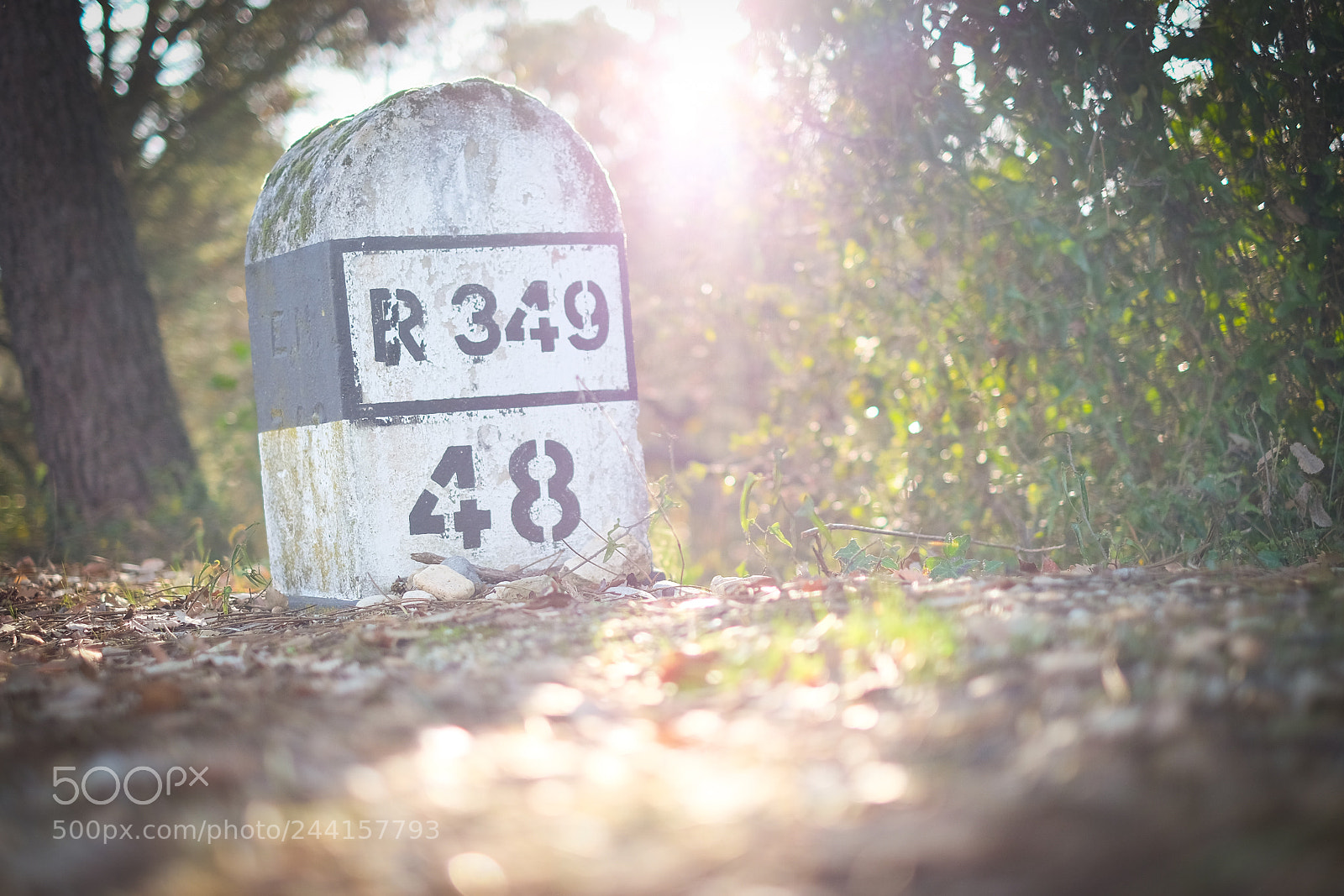 Fujifilm X-T1 sample photo. Old road sign photography