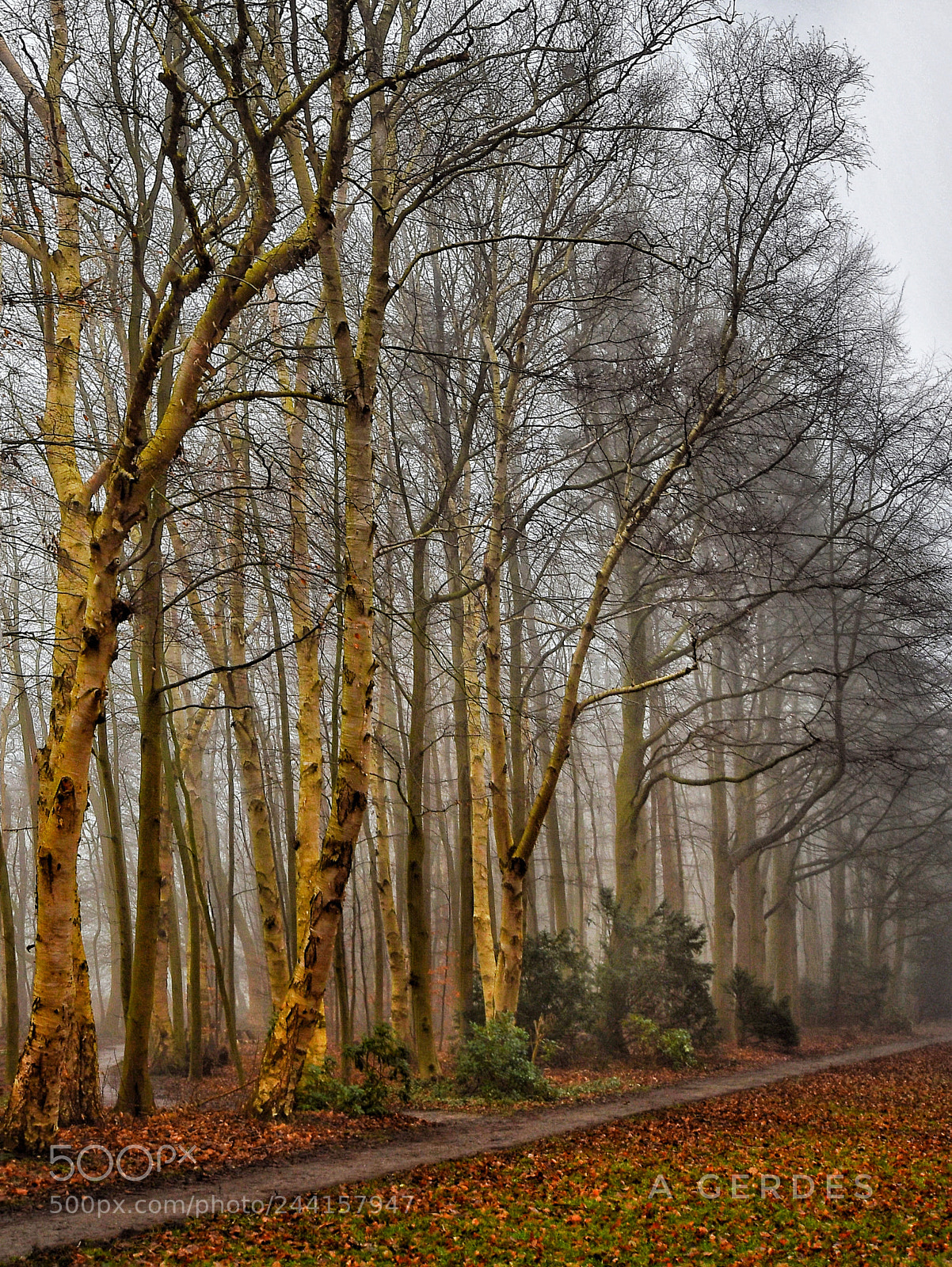 Nikon D7500 sample photo. Past times photography