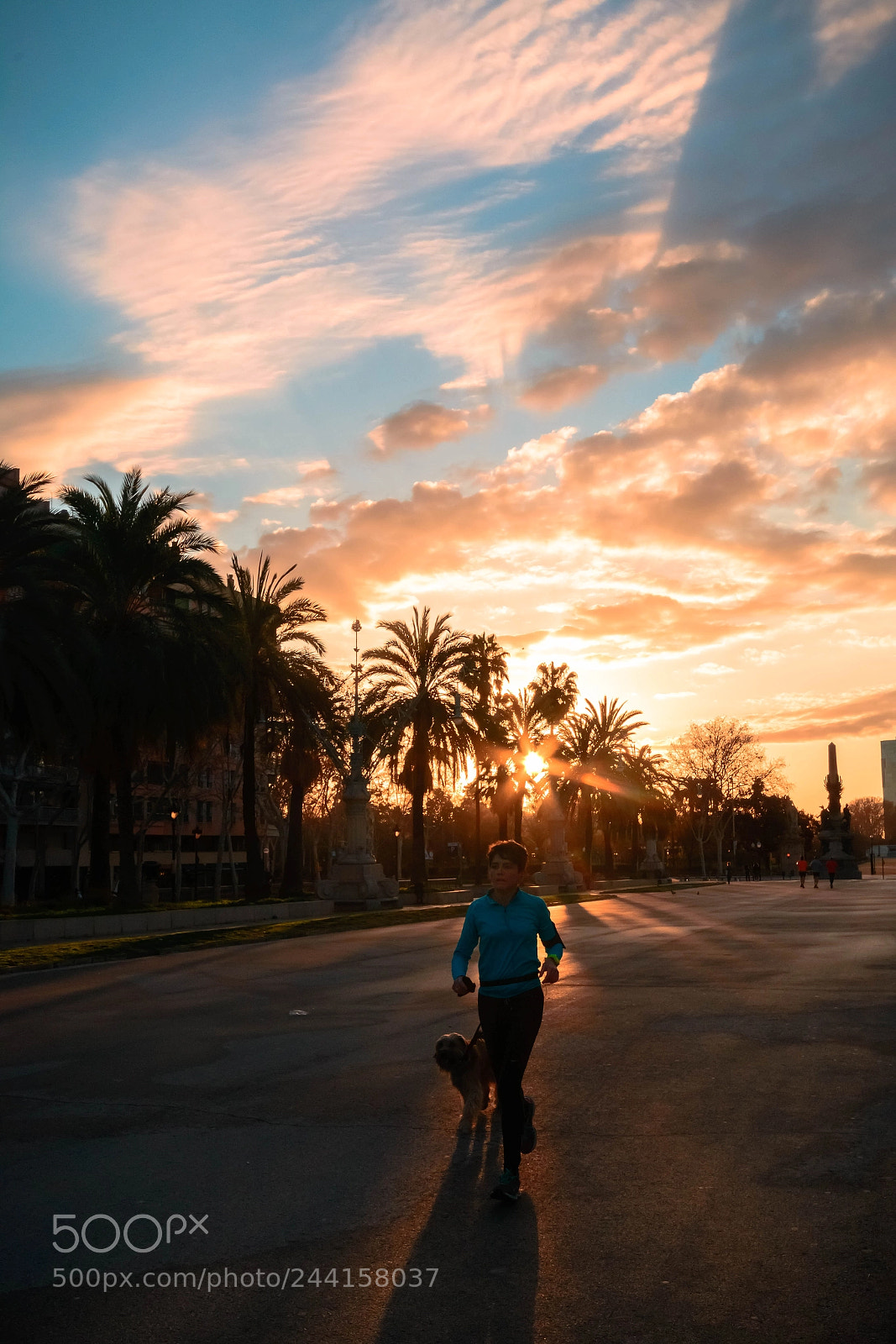Nikon D7100 sample photo. Running photography