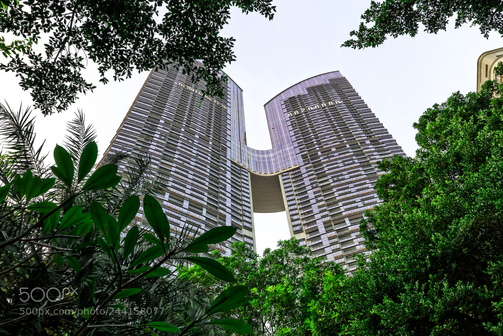 Canon EOS 5D Mark IV sample photo. Edit photography