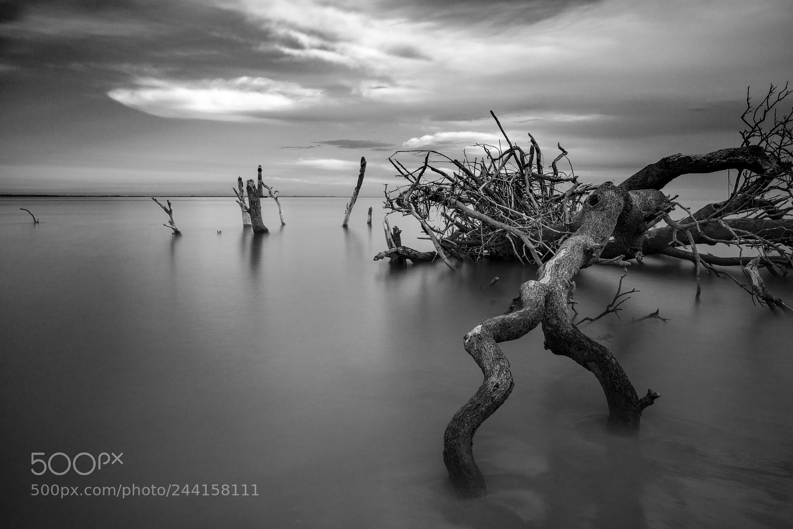 Nikon D800 sample photo. Folly beach, south carolina photography