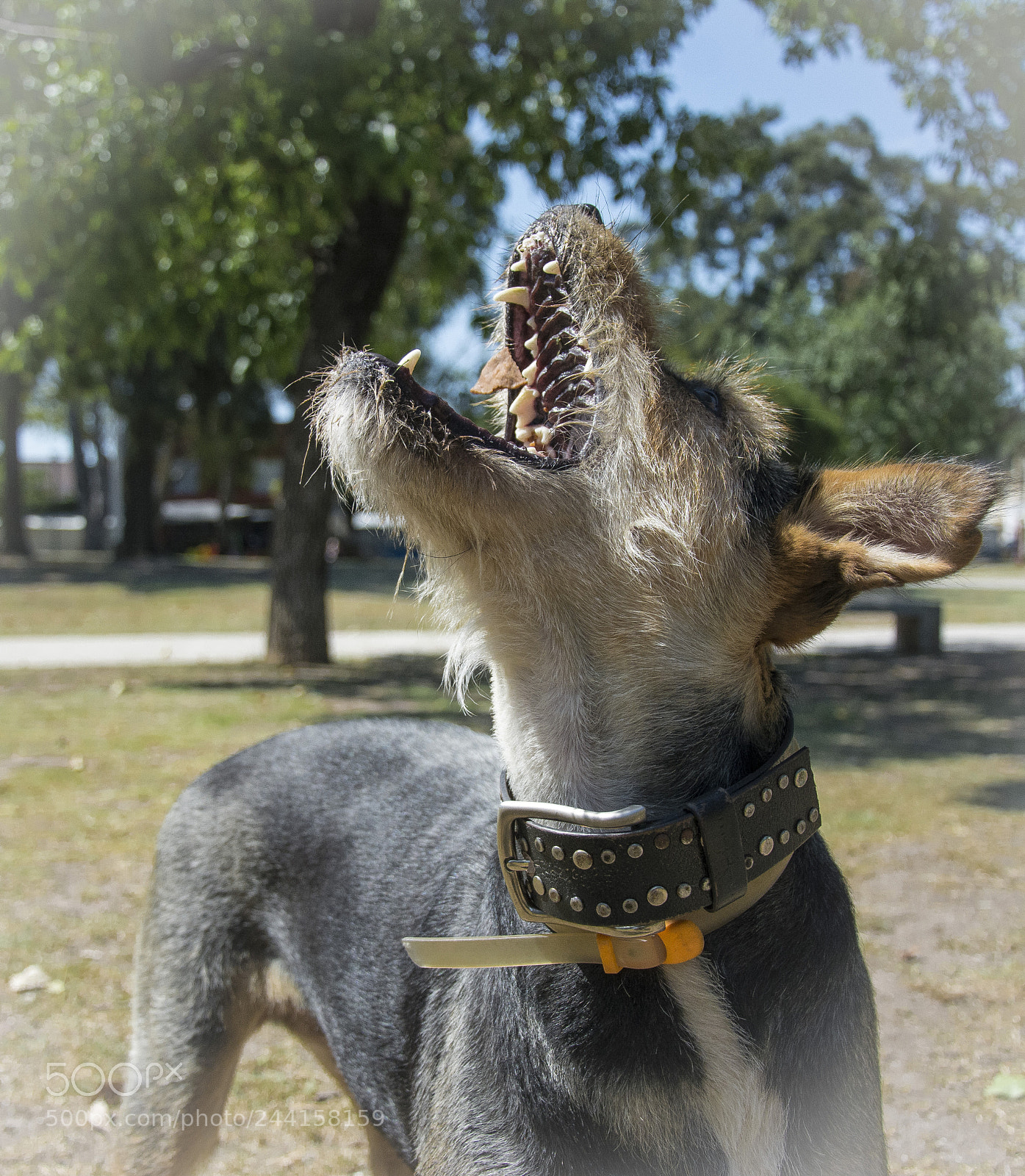 Nikon D7100 sample photo. 25.jpg photography