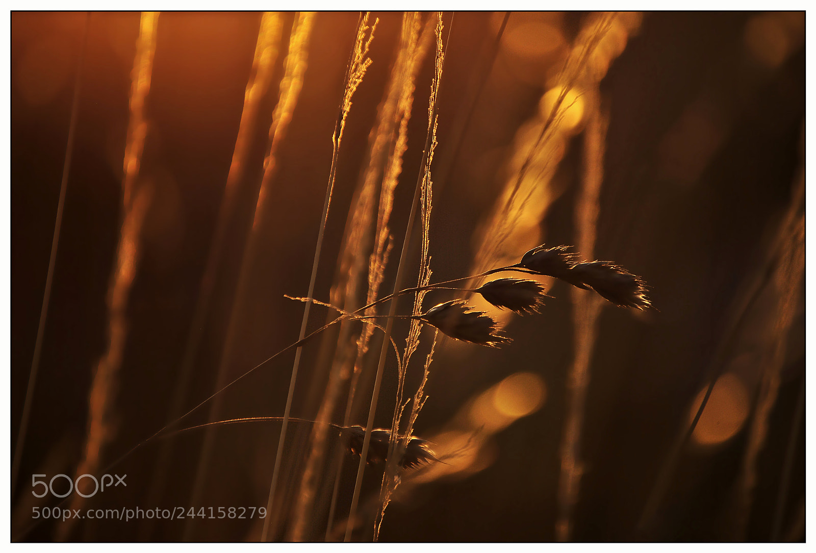 Nikon D3000 sample photo. The last rays of photography