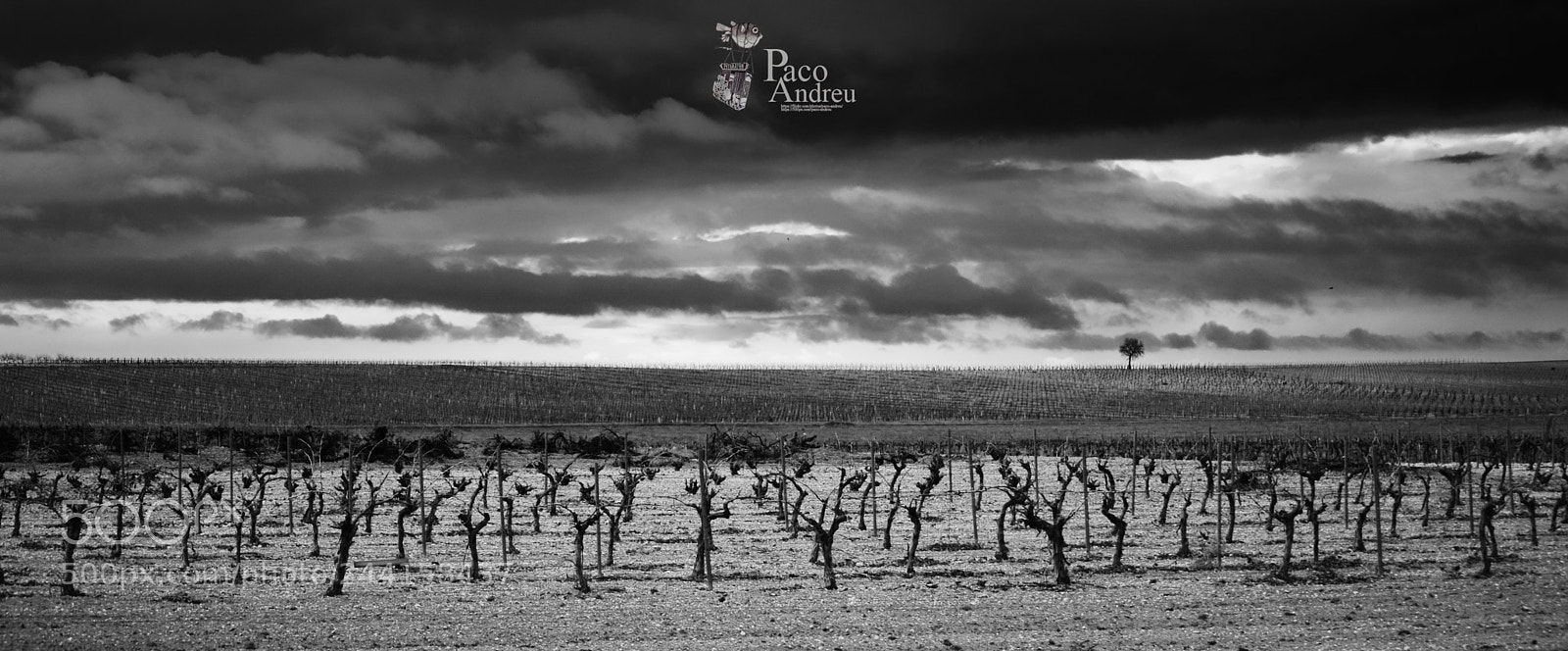 Nikon D3200 sample photo. 28 de enero. photography
