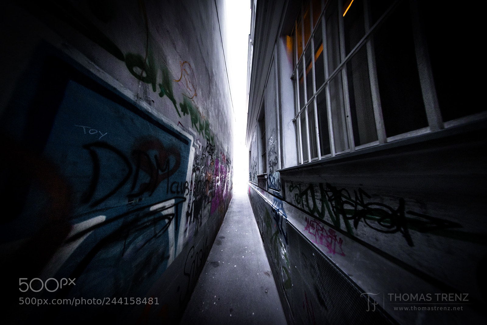 Nikon D600 sample photo. The way to success photography