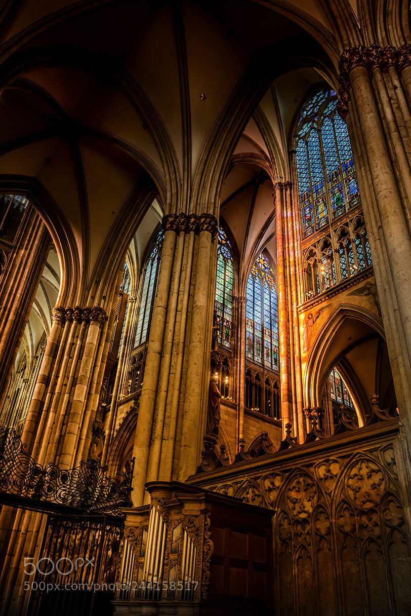 Nikon D600 sample photo. Domus colonia photography