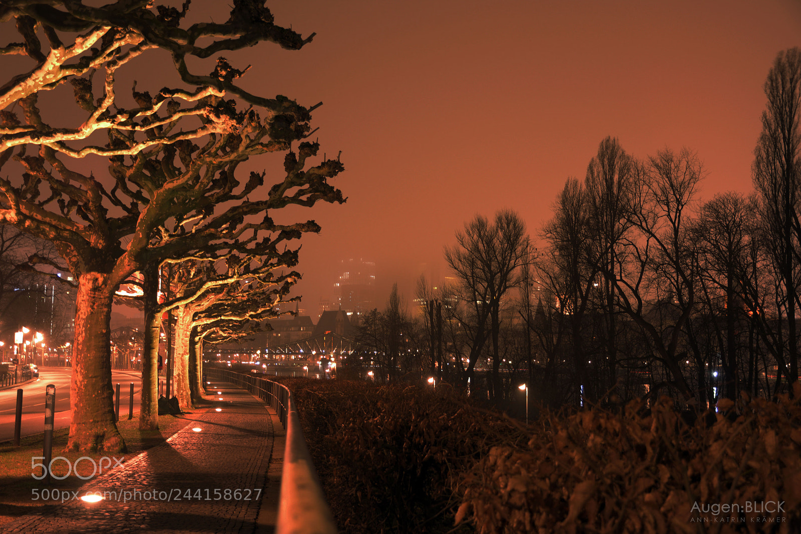 Nikon D7200 sample photo. Frankfurt by night photography