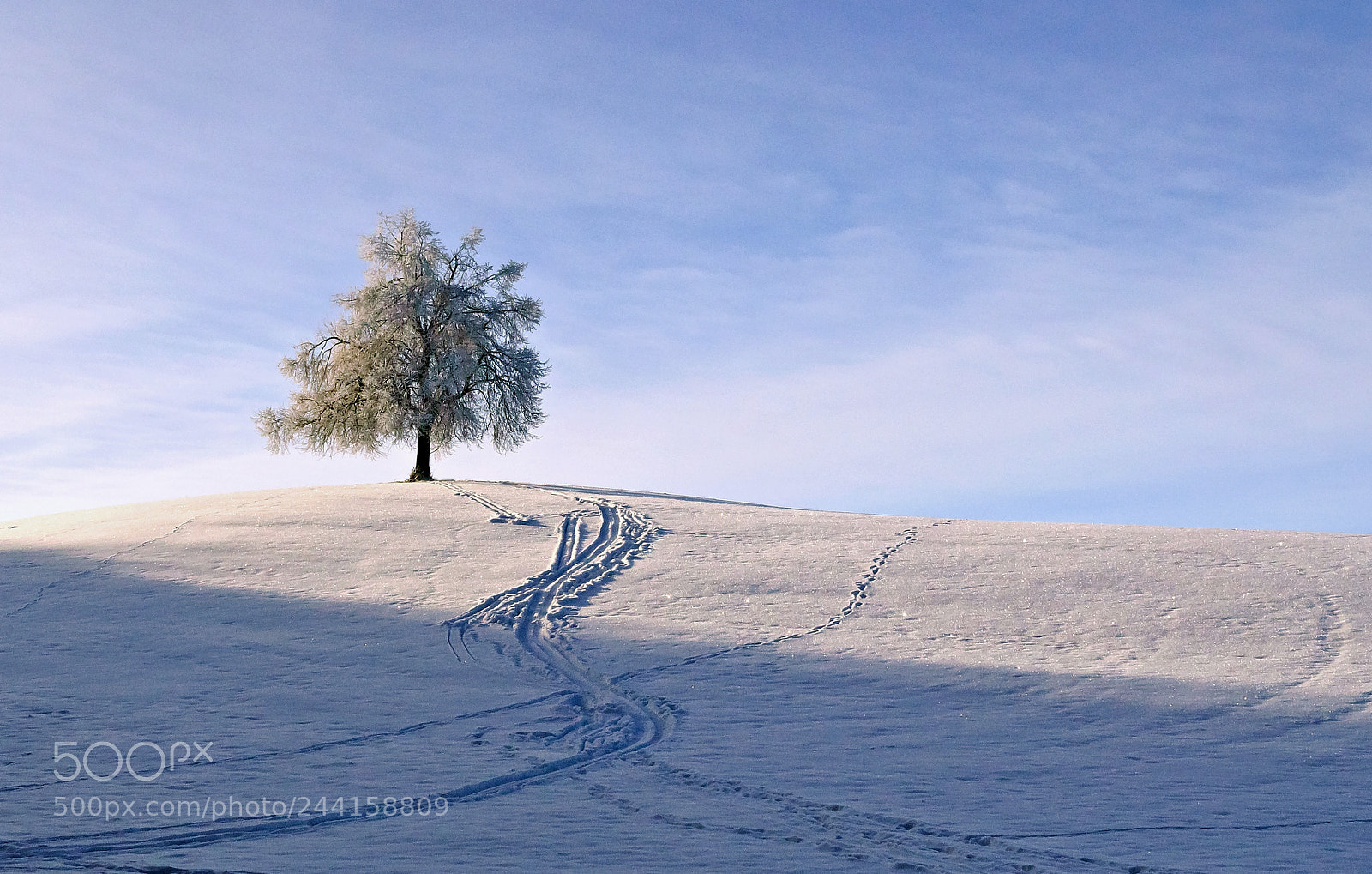 Nikon D5000 sample photo. Spuren im schnee.... photography