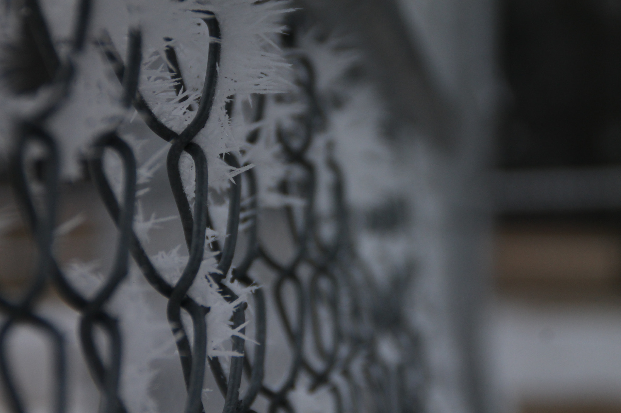 Canon EOS 1100D (EOS Rebel T3 / EOS Kiss X50) sample photo. Frosted fence photography