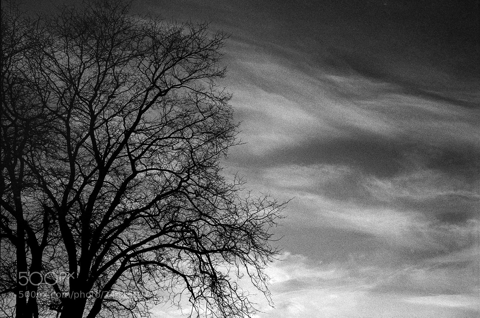 Nikon D700 sample photo. Structures photography