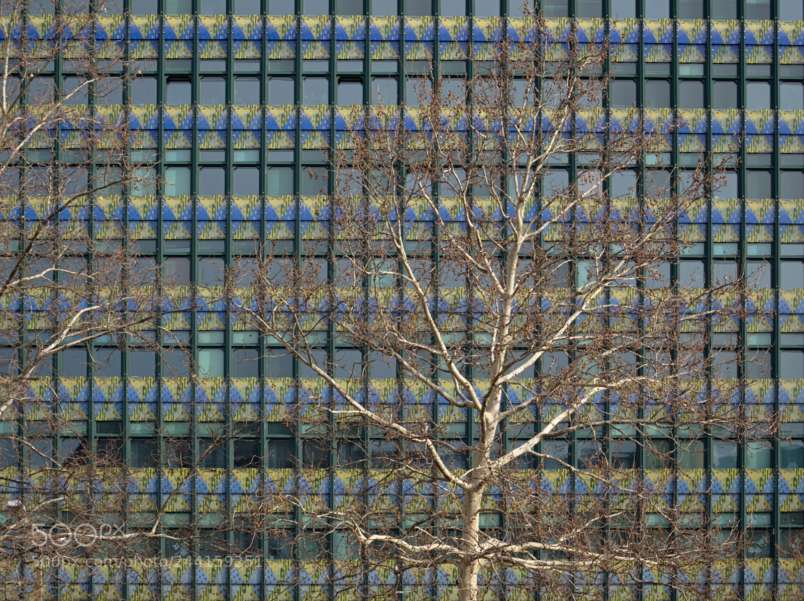Olympus OM-D E-M10 II sample photo. Pattern photography