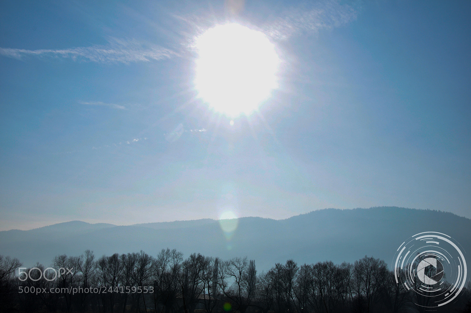 Nikon D90 sample photo. Sky and tree photography